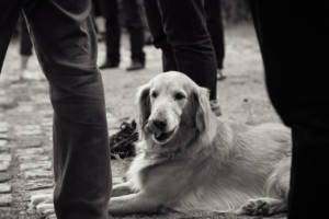 Credit: Saku-Matti Mäki