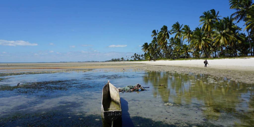 Foto van een strand met palmen in Mozambique.